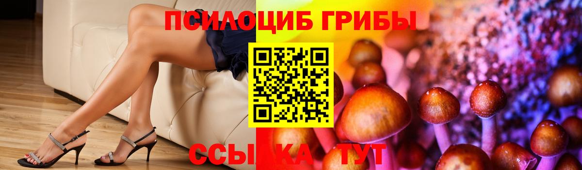Семилуки  Галлюциногенные грибы прущие грибы  Вход с VPN 